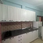 Dragoi Velipojë